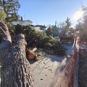 ΘΕΣΣΑΛΟΝΙΚΗ ΑΝΕΜΟΣ ΚΑΚΟΚΑΙΡΙΑ ΠΤΩΣΗ ΔΕΝΤΡΩΝ