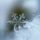 ΚΑΙΡΟΣ ΠΡΩΤΟΧΡΟΝΙΑ ΚΟΛΥΔΑΣ