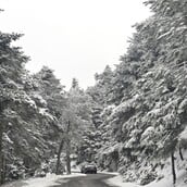 ΛΕΩΦΟΡΟΣ ΠΑΡΝΗΘΑΣ ΚΛΕΙΣΤΗ ΧΙΟΝΙ