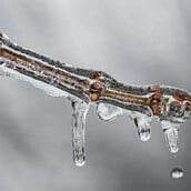 Καιρός - Μαρουσάκης: Έρχεται νέο κύμα ψύχους με τσουχτερό κρύο και χιόνια