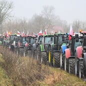 MERCOSUR ΣΥΜΦΩΝΙΑ ΕΕ ΕΥΡΩΠΑΪΚΗ ΕΝΩΣΗ ΑΓΡΟΤΕΣ