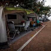 ΦΟΙΝΙΚΟΥΝΤΑ ΔΟΛΟΦΟΝΙΑ ΑΝΙΨΙΟΣ ΤΕΧΝΗΤΗ ΝΟΗΜΟΣΥΝΗ