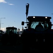 ΑΓΡΟΤΕΣ ΚΥΡΙΑΚΟΣ ΜΗΤΣΟΤΑΚΗΣ ΜΕΓΑΡΟ ΜΑΞΙΜΟΥ