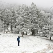 Εικόνες από την ολόλευκη Πάρνηθα και τα πρώτα χιόνια της χρονιάς
