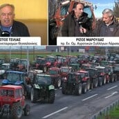 ΑΓΡΟΤΕΣ ΚΑΥΓΑΣ ΤΣΙΛΙΑΣ ΜΑΡΟΥΔΑΣ