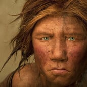 ΕΡΕΥΝΑ ΠΟΝΟΣ ΝΕΑΝΤΕΡΤΑΛ