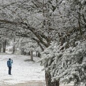 ΚΑΙΡΟΣ ΚΡΥΟ ΜΑΡΟΥΣΑΚΗΣ