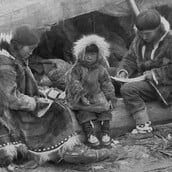 Δώστε kiviaq στον Τραμπ, μήπως γλιτώσετε την Γροιλανδία!