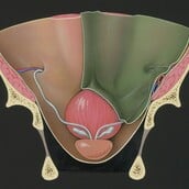 Φάρμακο για τον καρκίνο του προστάτη που παρατείνει τη ζωή θα διατεθεί στην Αγγλία
