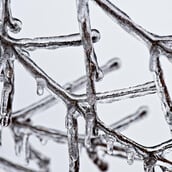 Καιρός - Τσατραφύλλιας: «Κλείδωσε τετραήμερο Ουκρανικό ψύχος»