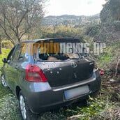 ΑΓΡΙΝΙΟ ΔΟΛΟΦΟΝΙΑ