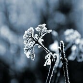 Καιρός: Επιμένει το τσουχτερό κρύο - «Βουτιά» του υδραργύρου υπό το μηδέν και χιόνια