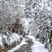 Καιρός: Ψύχος και χιονισμένα τοπία σε Θεσσαλία, Στερεά και Μακεδονία