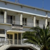 ΒΑΡΥΠΟΙΝΙΤΗΣ ΚΟΡΥΔΑΛΛΟΣ ΔΟΛΟΦΟΝΙΑ