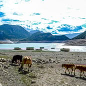 ΛΕΙΨΥΔΡΙΑ ΚΡΙΣΗ ΟΗΕ 