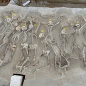 ΔΕΣΜΩΤΕΣ ΦΑΛΗΡΟ ΑΝΑΣΚΑΦΗ ΑΝΑΔΕΙΞΗ