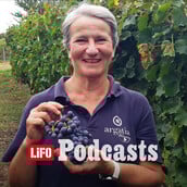 Χαρούλα Σπινθηροπούλου, η κυρία του Ξινόμαυρου