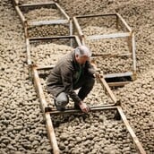 ΓΕΡΜΑΝΙΑ ΠΑΤΑΤΕΣ