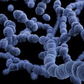 ΣΗΨΗ ΦΑΡΜΑΚΟ ΑΝΘΡΩΠΟΙ