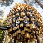 ΔΕΝΤΡΟΣΠΙΤΑ ΠΙΟ ΕΝΤΥΠΩΣΙΑΚΑ ΣΤΟΝ ΚΟΣΜΟ