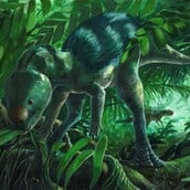 ΔΕΙΝΟΣΑΥΡΟΙ ΑΠΟΛΙΘΩΜΑΤΑ ΕΞΕΛΙΞΗ