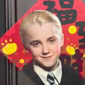 ΝΤΡΑΚΟ ΜΑΛΦΟΙ ΚΙΝΑ ΠΡΩΤΟΧΡΟΝΙΑ