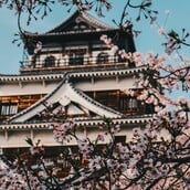 ΙΑΠΩΝΙΑ ΚΕΡΑΣΙΕΣ 