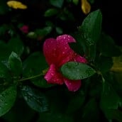 ΚΑΙΡΟΣ ΒΡΟΧΕΣ ΕΜΥ