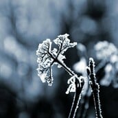 Μαρουσάκης: Έρχεται νέα οργανωμένη κακοκαιρία - Ψυχρές αέριες μάζες και χιόνια στα βουνά