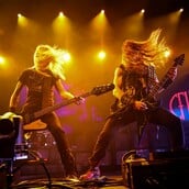 PANTERA ΕΛΛΑΔΑ ΣΥΝΑΥΛΙΑ