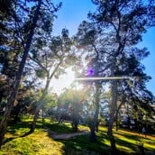 ΚΑΙΡΟΣ ΤΣΙΚΝΟΠΕΜΠΤΗ ΠΩΣ ΘΑ ΕΙΝΑΙ