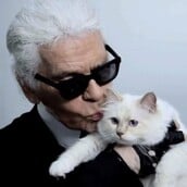 ΚΑΡΛ ΛΑΓΚΕΡΦΕΛΝΤ ΚΛΗΡΟΝΟΜΙΑ ΔΙΑΘΗΚΗ