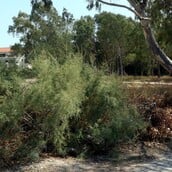 ΑΚΑΘΑΡΙΣΤΑ ΟΙΚΟΠΕΔΑ ΑΛΛΑΓΕΣ ΝΟΜΟΣΧΕΔΙΟ