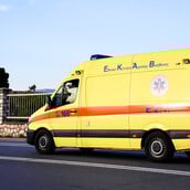 ΦΛΩΡΙΝΑ ΞΥΛΟΔΑΡΜΟΣ ΑΝΗΛΙΚΟΙ