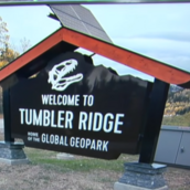 ΚΑΝΑΔΑΣ ΕΠΙΘΕΣΗ ΠΥΡΟΒΟΛΙΣΜΟΙ ΝΕΚΡΟΙ ΣΧΟΛΕΙΟ