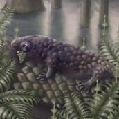 ΖΩΟ ΦΥΤΟΦΑΓΙΑ ΑΝΑΚΑΛΥΨΗ