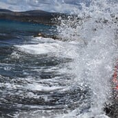 ΚΡΗΤΗ ΑΝΕΜΟΙ ΖΗΜΙΕΣ ΠΤΩΣΗ ΔΕΝΤΡΩΝ