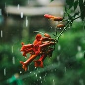 Καιρός: Βαθύ βαρομετρικό χαμηλό φέρνει 24ώρη ισχυρή κακοκαιρία - Ξεκινά από το βράδυ