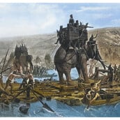 ΑΝΝΙΒΑΣ ΙΣΠΑΝΙΑ ΕΛΕΦΑΝΤΕΣ