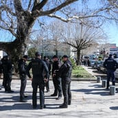 ΒΙΟΛΑΝΤΑ ΙΔΙΟΚΤΗΤΗΣ ΕΦΕΣΗ