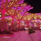 ΚΑΛΟΚΑΙΡΙ ΚΑΤΑΡ ΔΑΣΟΣ ΝΗΣΙ ΚΛΙΜΑΤΙΣΜΟΣ