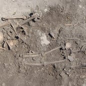 ΛΙΘΙΝΗ ΕΠΟΧΗ ΣΟΥΗΔΙΑ ΟΙΚΟΓΕΝΕΙΑ