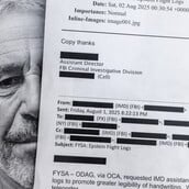 ΤΖΕΦΡΙ ΕΠΣΤΑΪΝ ΟΙΚΟΝΟΜΙΚΗ ΔΙΕΥΘΕΤΗΣΗ ΘΥΜΑΤΑ