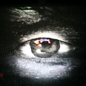 Η όραση ίσως ξεκίνησε από έναν «Κύκλωπα» πριν 560 εκατ. χρόνια, σύμφωνα με έρευνα