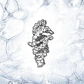 RNA DNA ΑΝΘΡΩΠΙΝΗ ΖΩΗ CAMBRIDGE