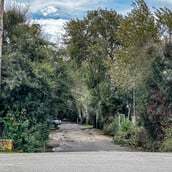 ΦΟΙΝΙΚΟΥΝΤΑ ΕΛΕΥΘΕΡΟΙ ΥΠΟΘΑΛΨΗ ΕΓΚΛΗΜΑΤΙΑ