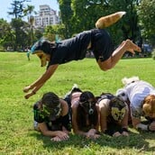 Έφηβοι δηλώνουν ότι “είναι” ζώα — Η viral τάση των «therians» στην Αργεντινή