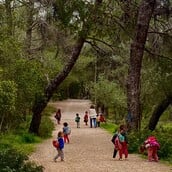 Παιδόκηπος Καρυδιά: Ένα ξεχωριστό νηπιαγωγείο που αγαπάνε παιδιά και γονείς 