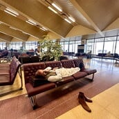 ΠΑΚΙΣΤΑΝ ΑΕΡΟΔΡΟΜΙΟ ΠΤΗΣΕΙΣ ΜΕΣΗ ΑΝΑΤΟΛΗ