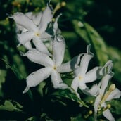 Αλλάζει ο καιρός: Πού θα βρέξει τις επόμενες ώρες